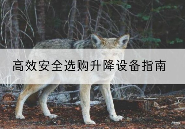 晋宁升降货梯厂家推荐-*安全选购升降设备指南