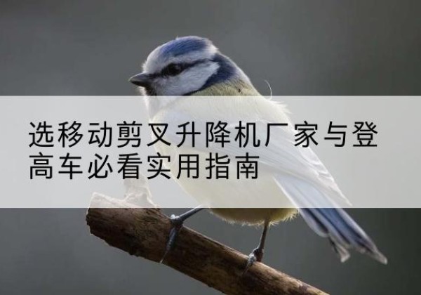 晋宁电动升降机厂家-选移动剪叉升降机厂家与登高车必看实用指南
